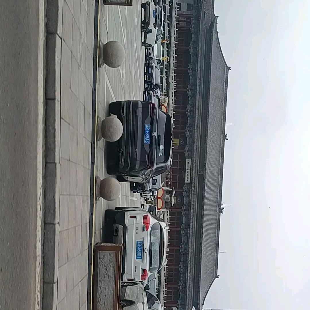 风中花瓣