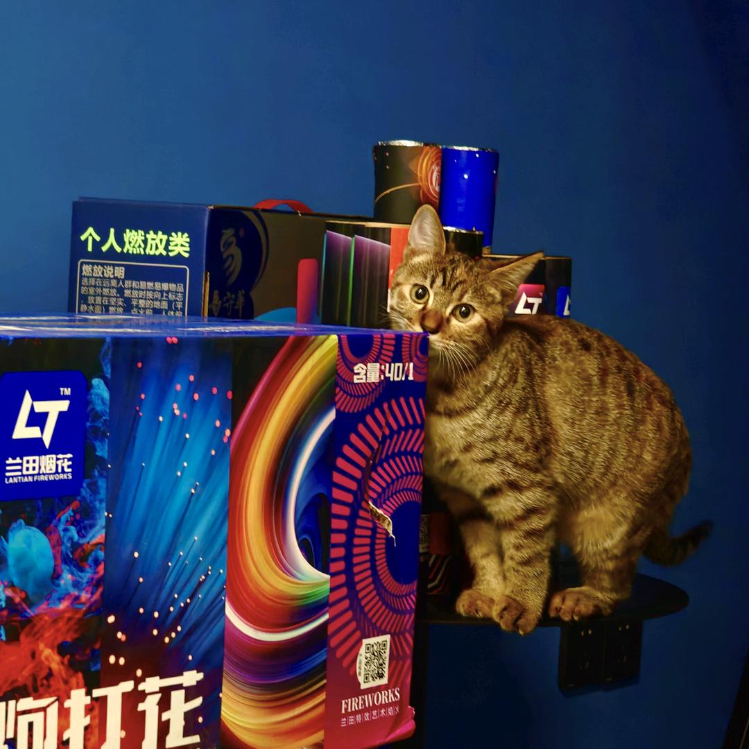 常州🎆🎆讲婆婆