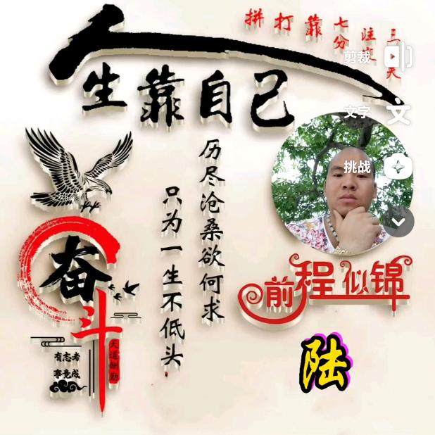 我在抖音只为了看你