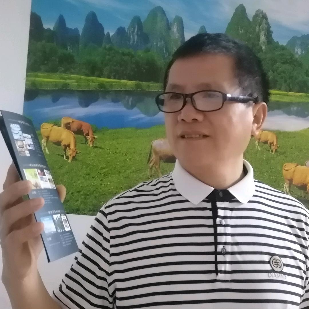 韦叔品质游
