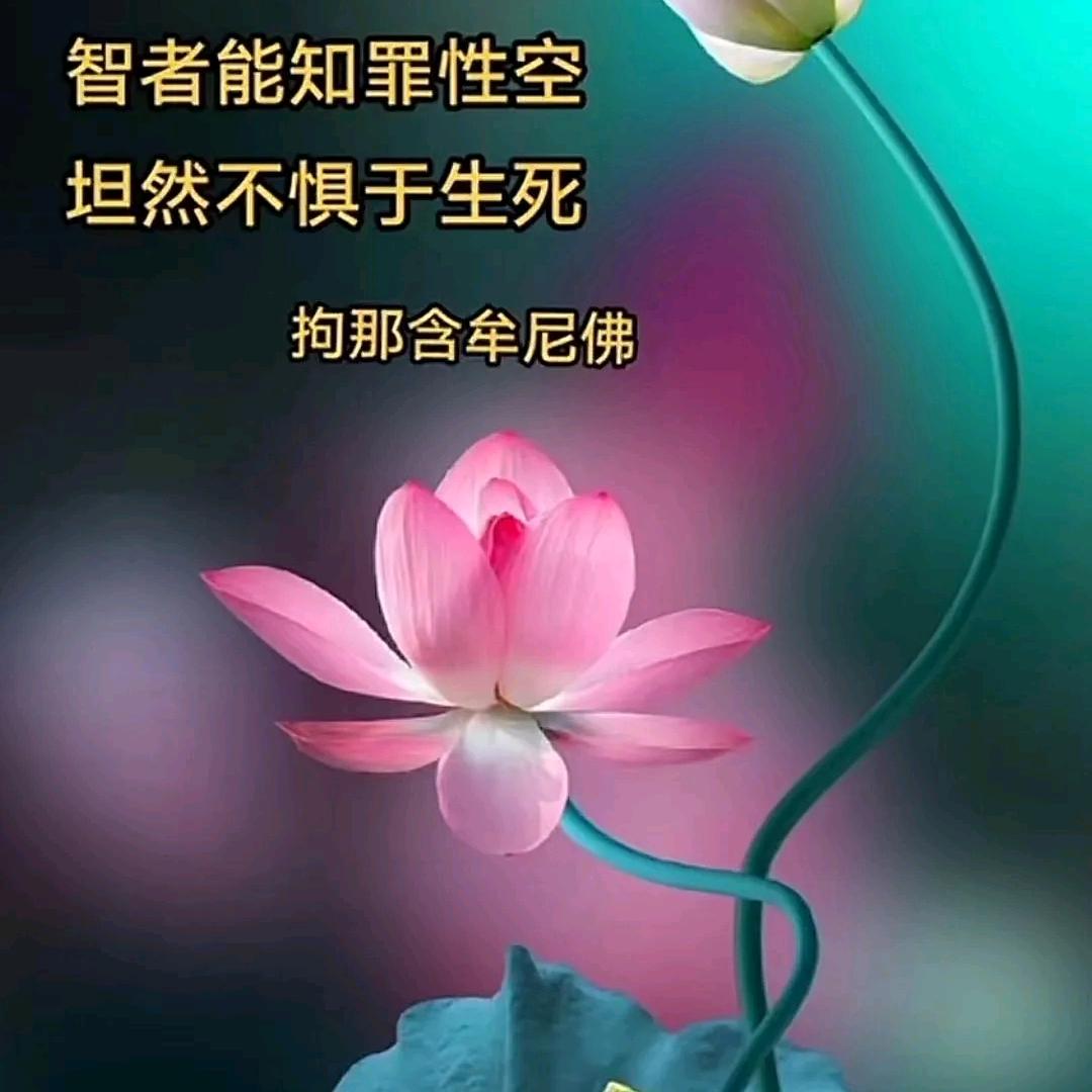 妙旖旎