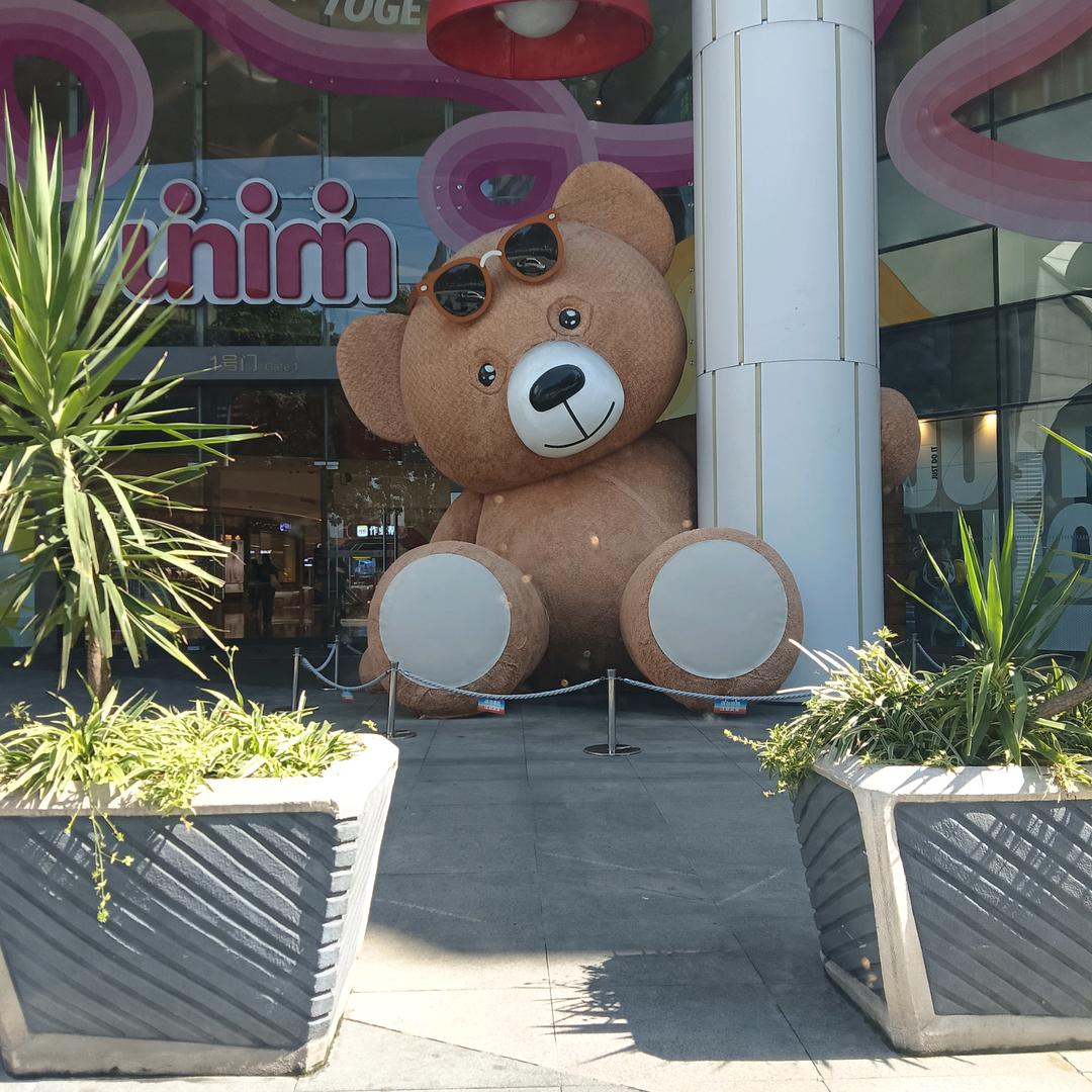 城市搬运工，优质司机