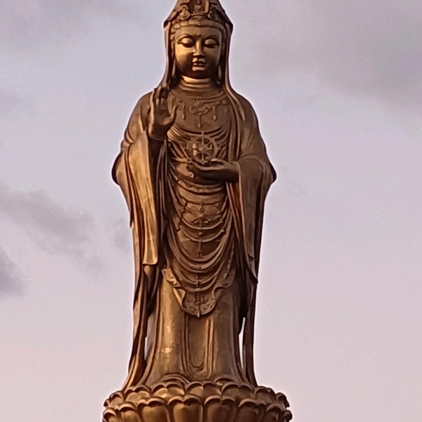 胡哥
