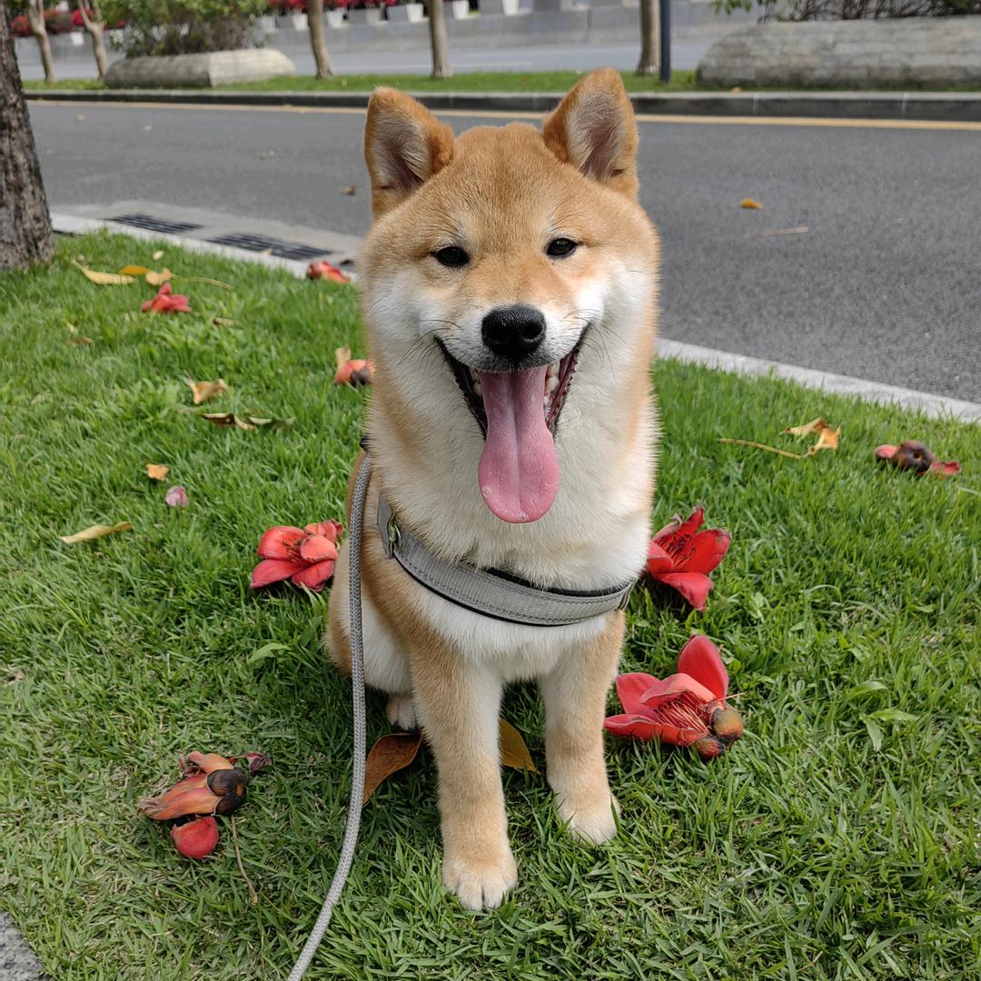 小x