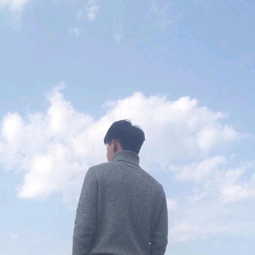 辉猫