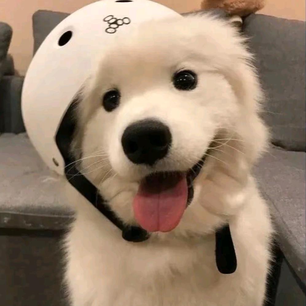 不哭