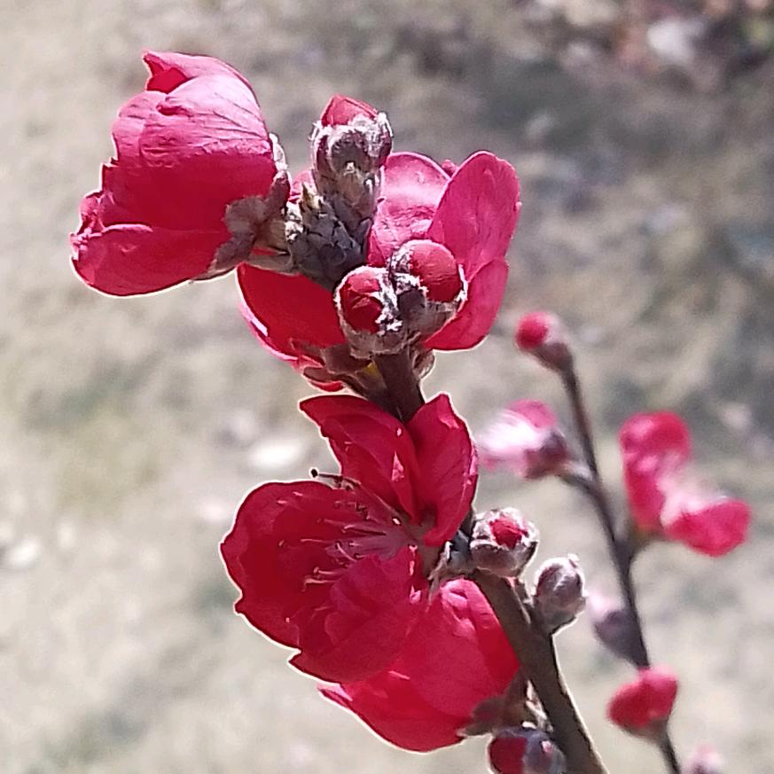 💔  让💔   心💔   归💔零