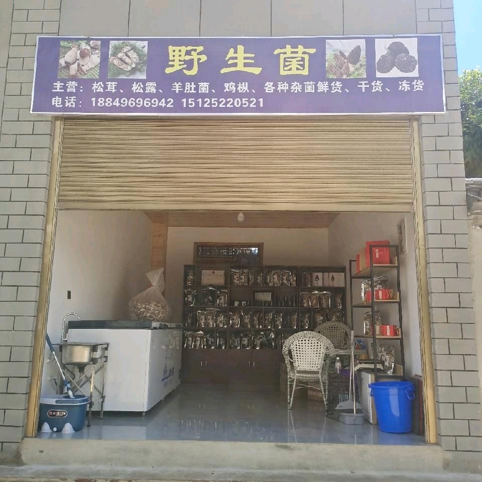 {生活中的一哥}野生菌