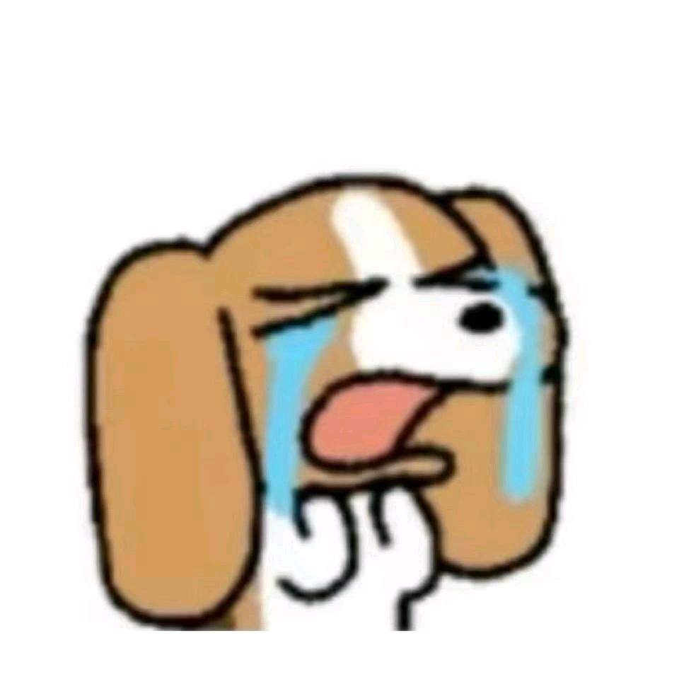 溱启