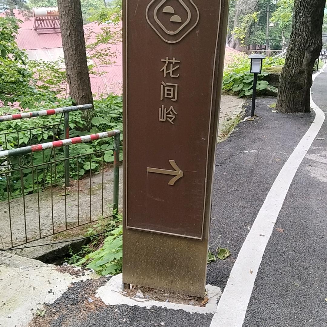 钟哥