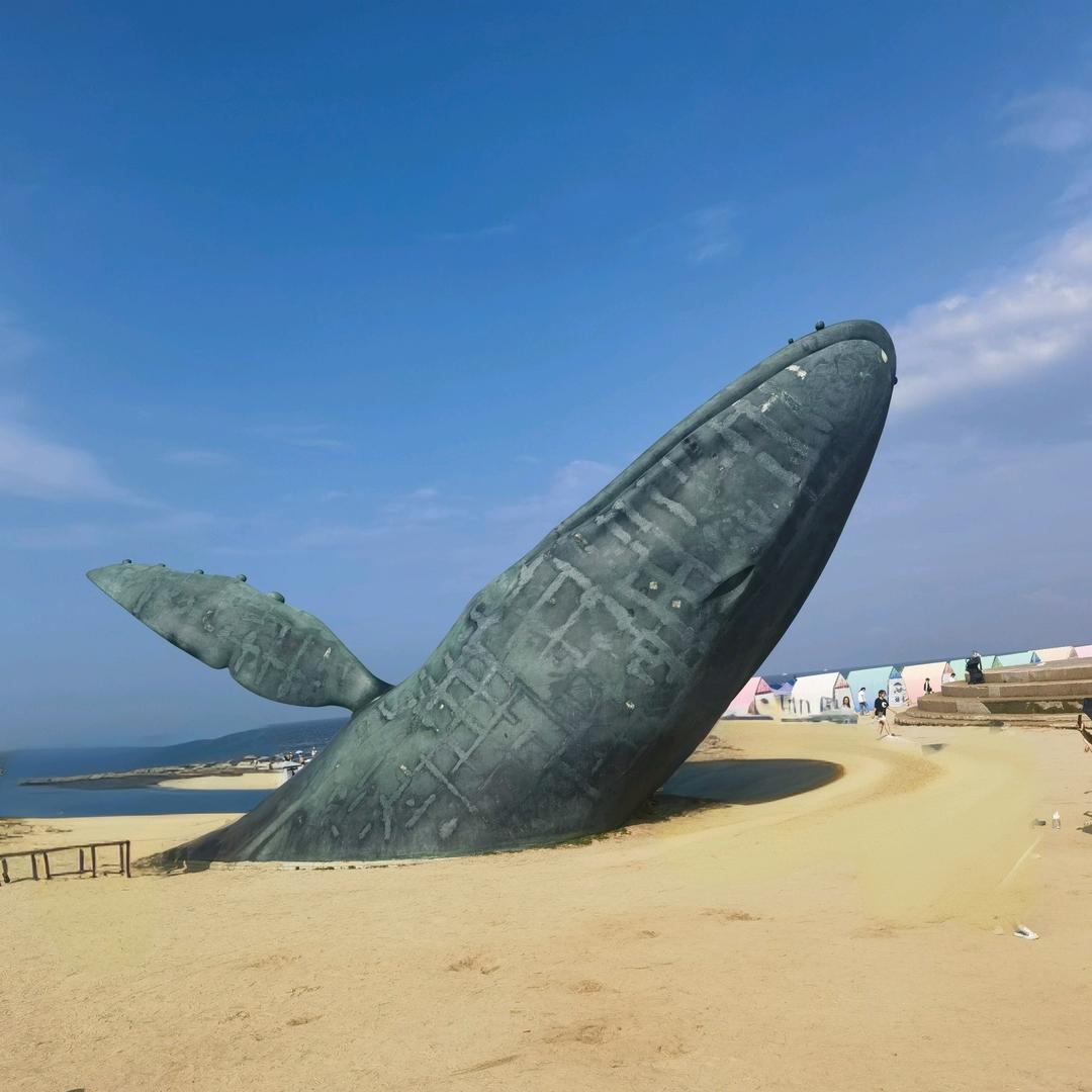 Y~y🐳27