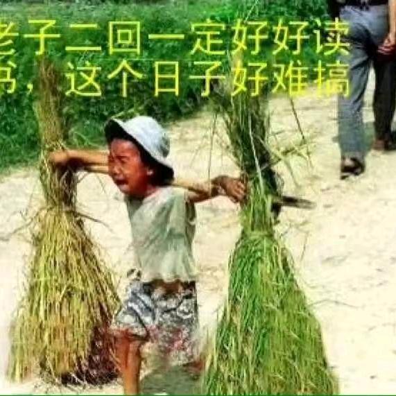 努力干