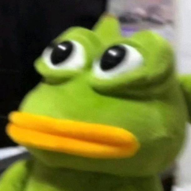 .西柚.