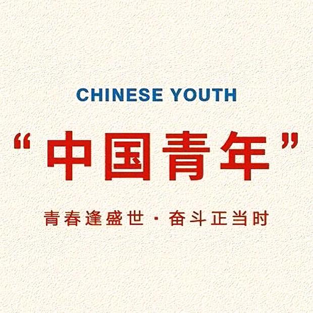 一介村民