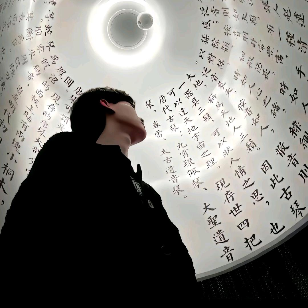 白鹤归羽