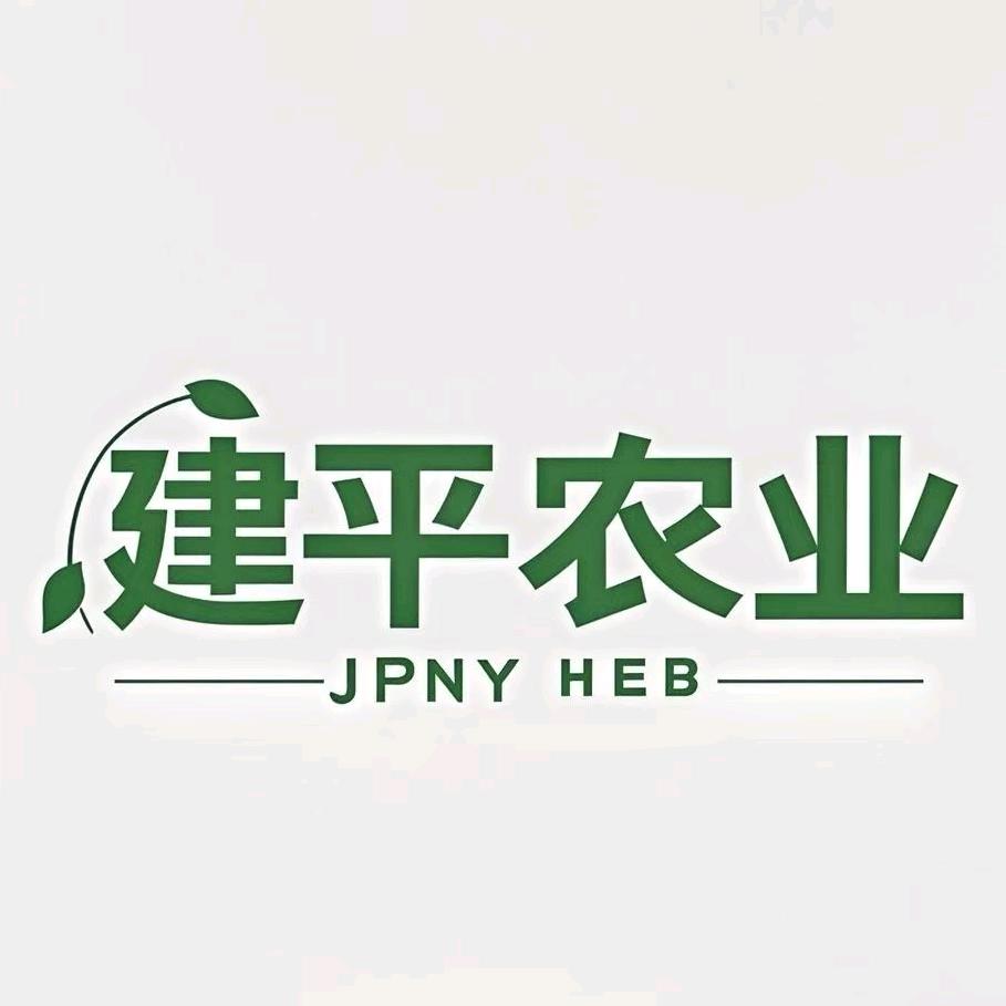 新农人白小飞（单身）