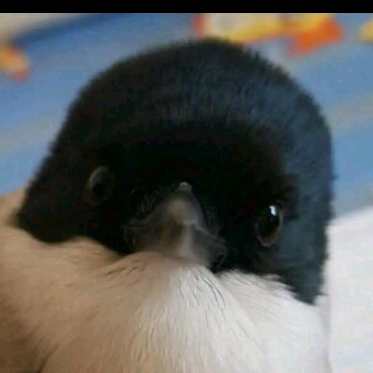 我爱的人是谁？