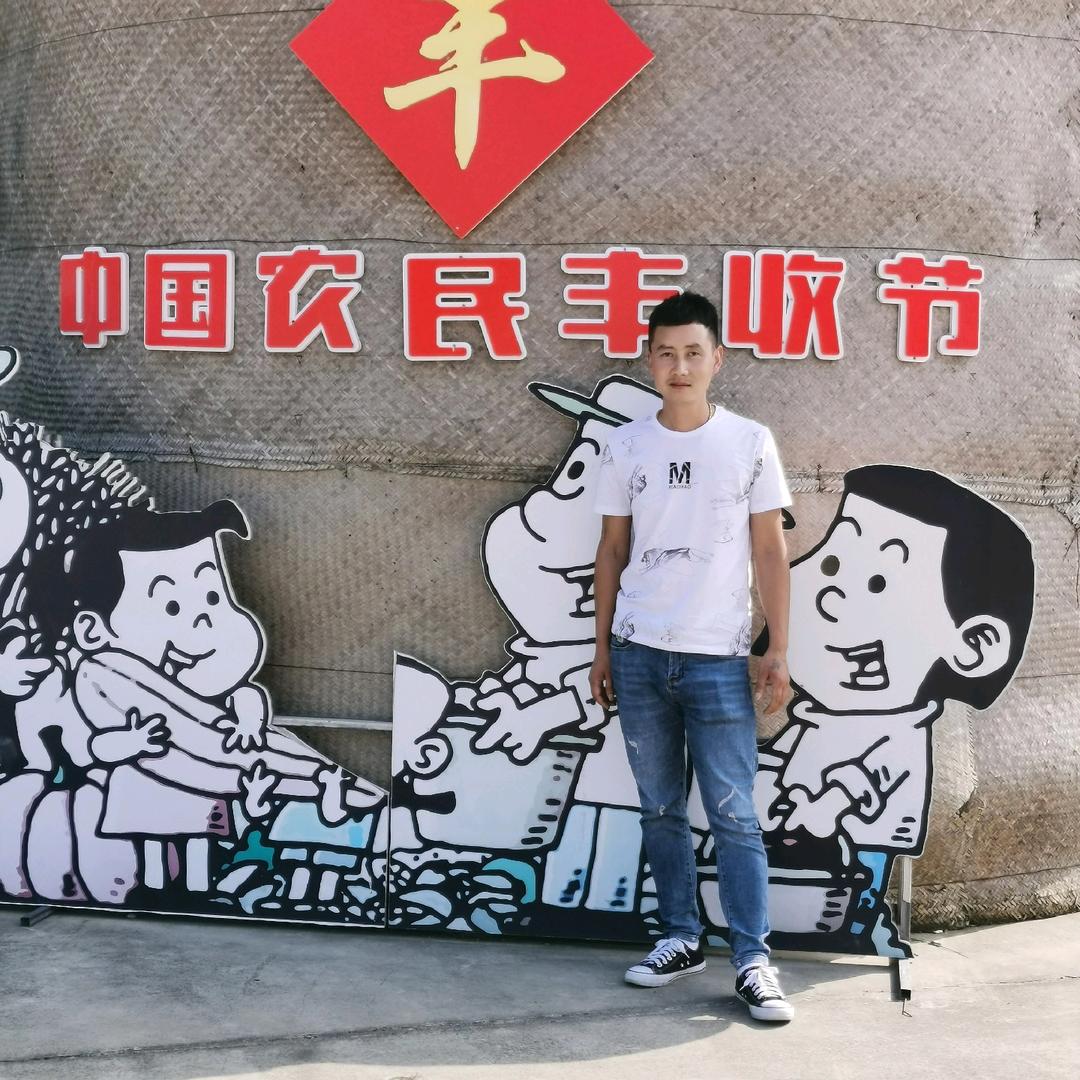 大鹏展翅