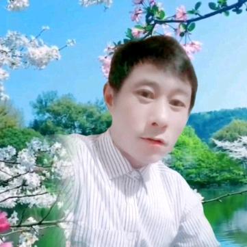 自在飞花轻似梦 🌺