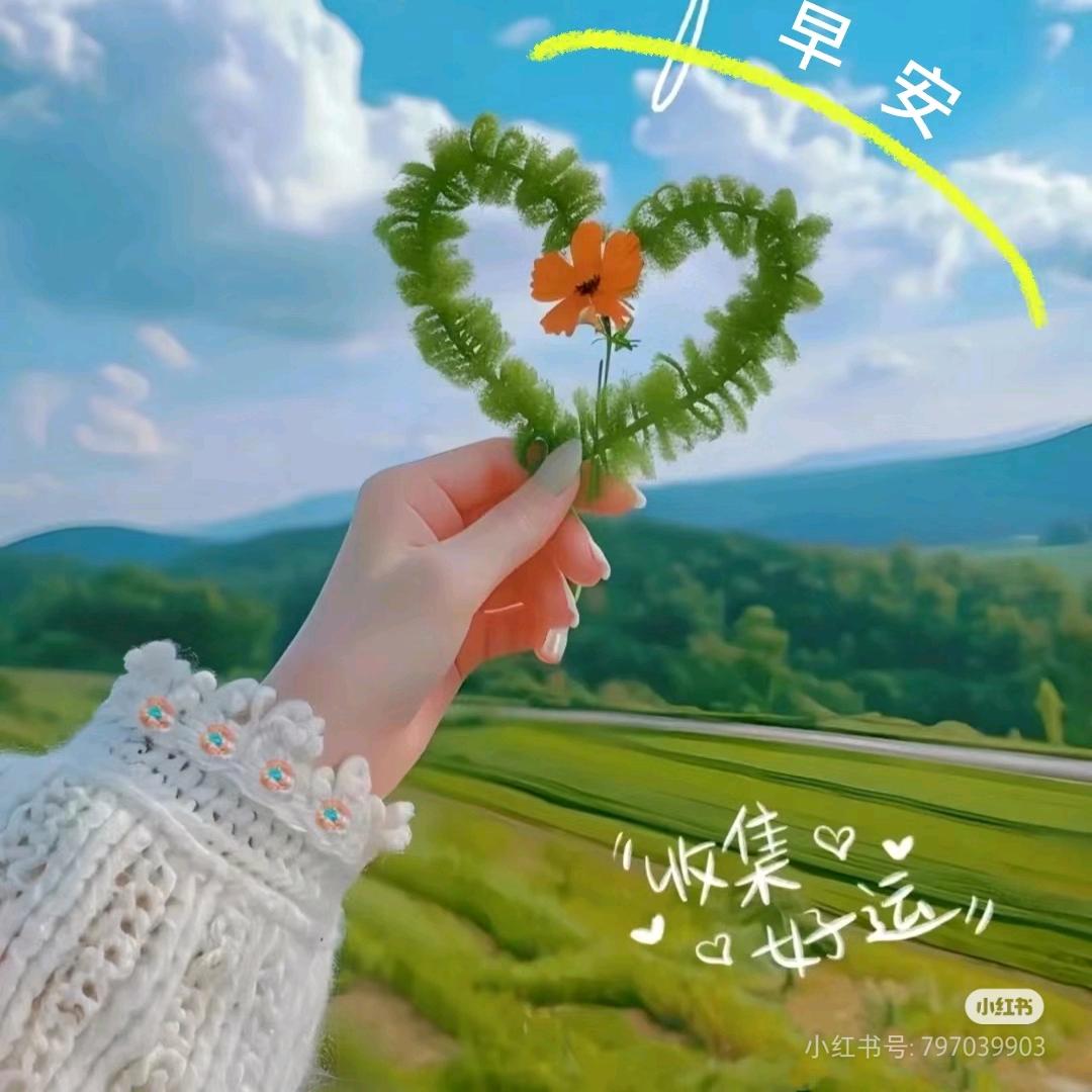 姜姜《2》