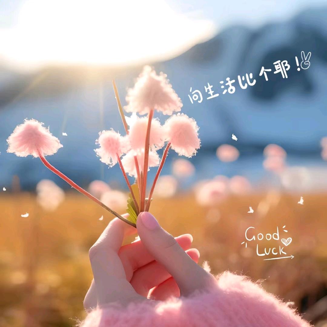 冰糖心