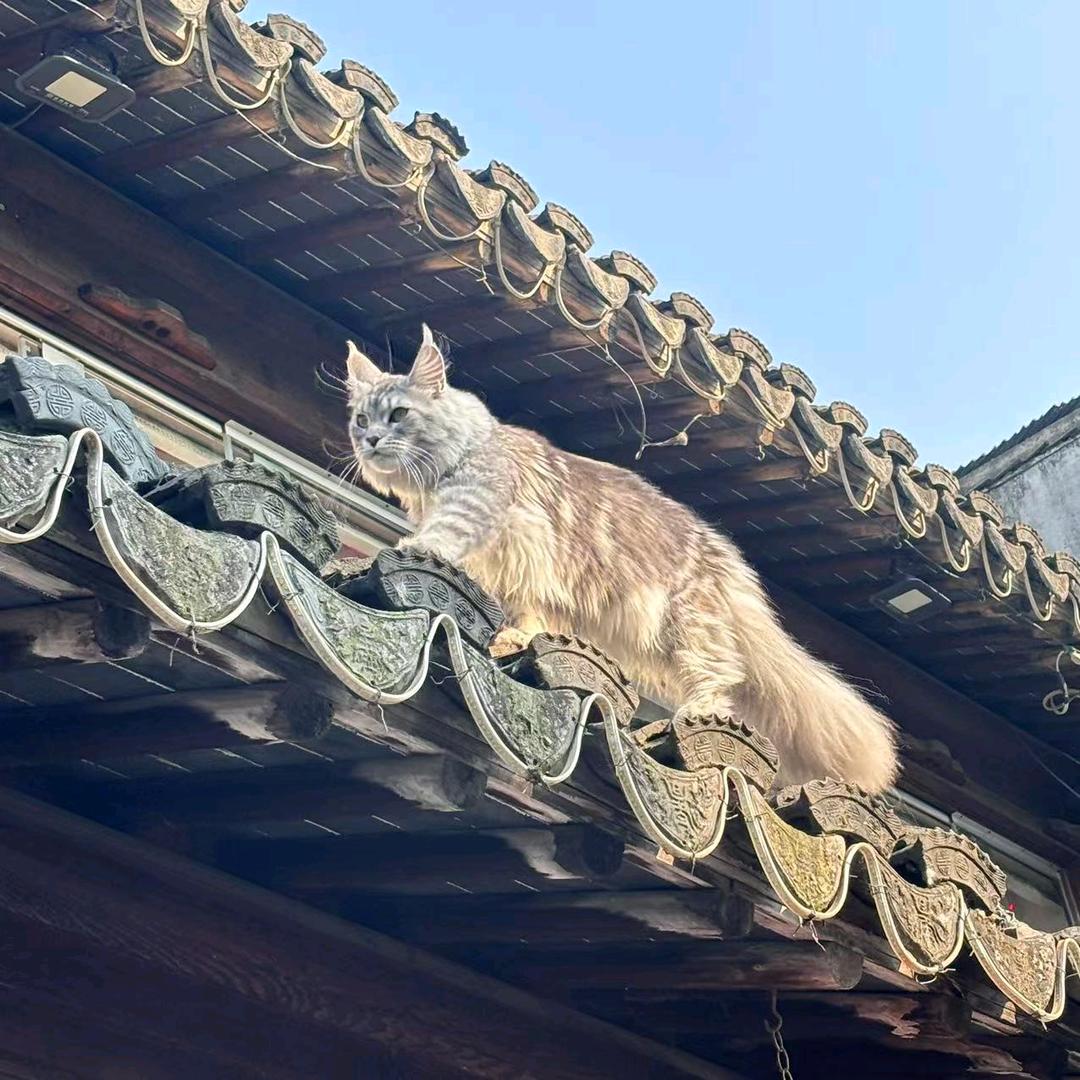 💁🖐水清天蓝