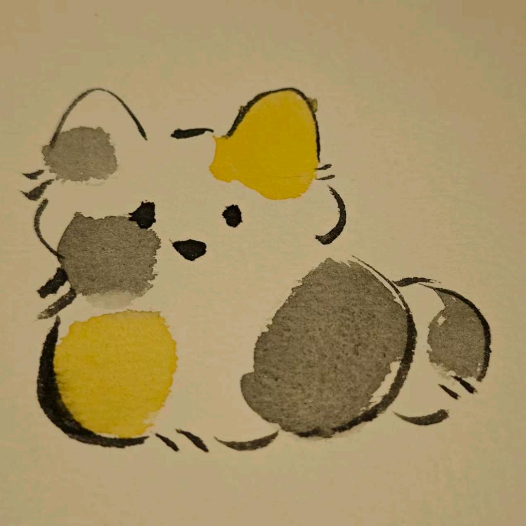 一只猫