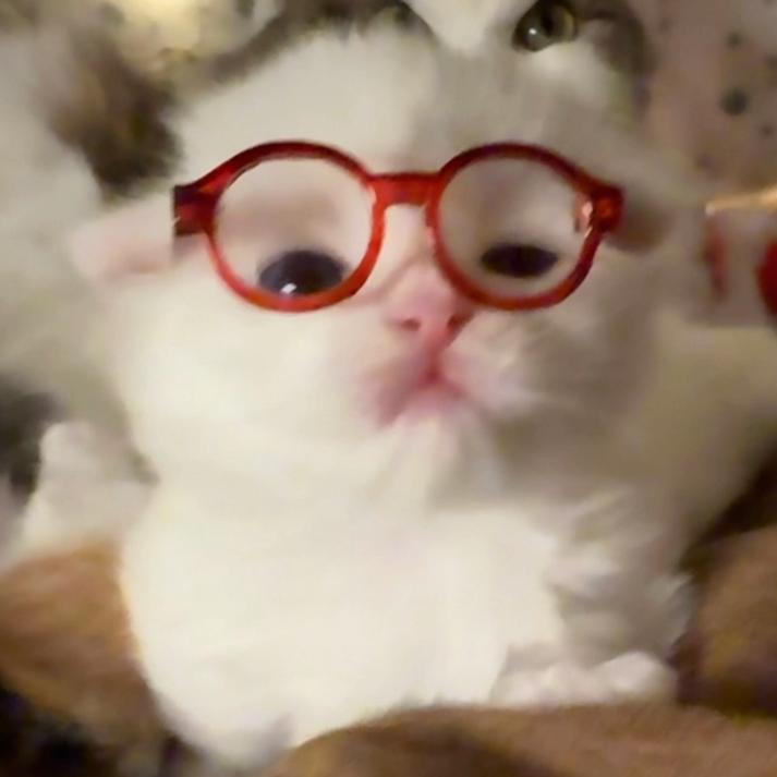 不倒翁-