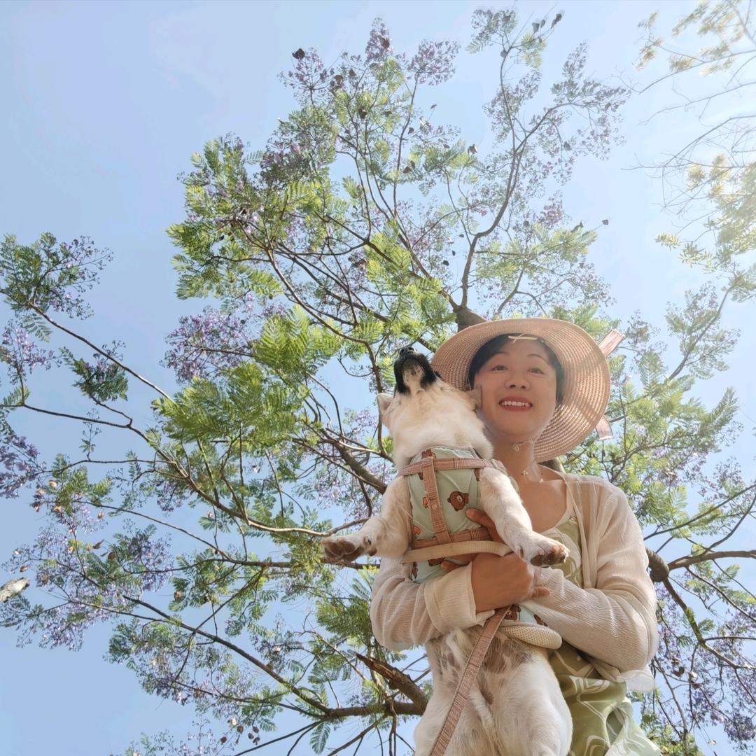 多乐小狗的旅居生活