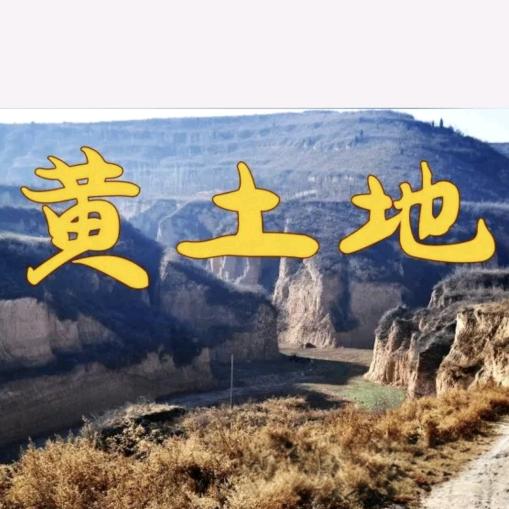 黄土地