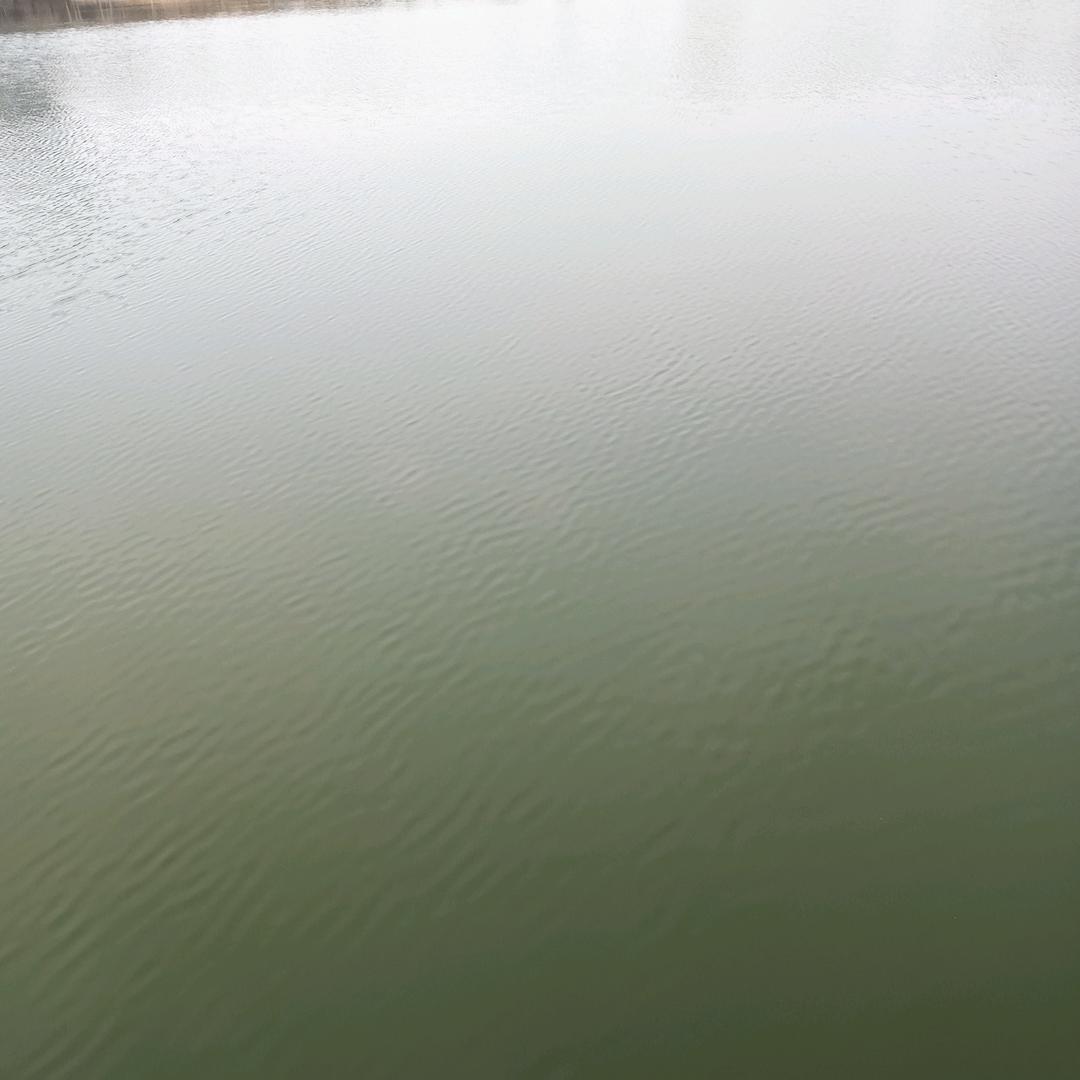 :