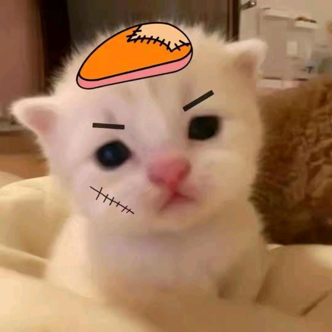 鸡腿🍗