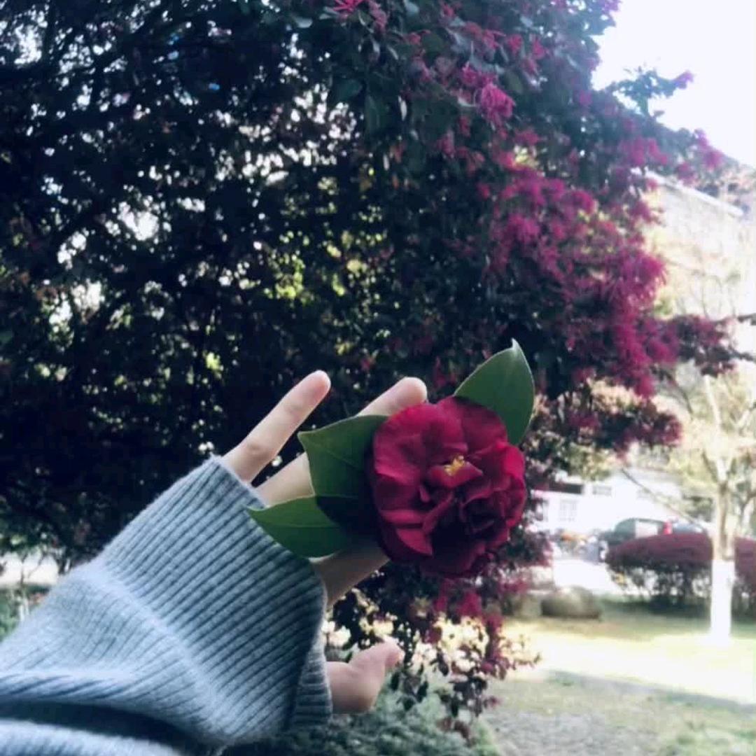 ㎡ᴹ♡ᴹ㎡