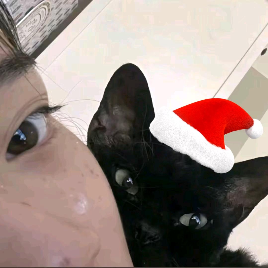 小猫悄悄话（期待疯刀聂九罗版）