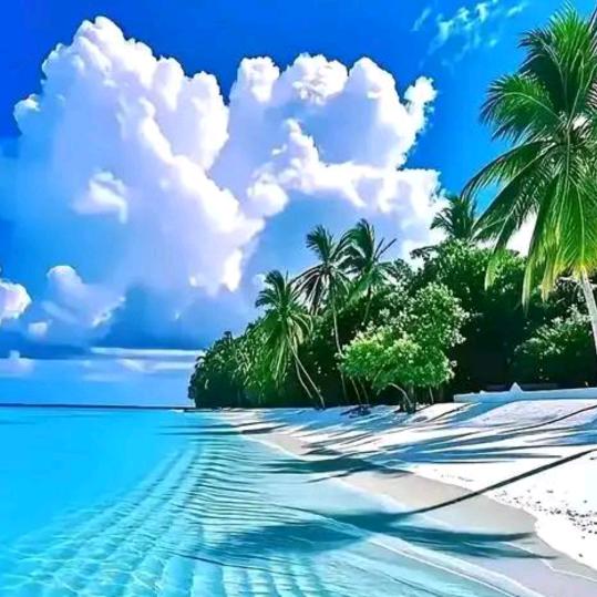 用户858972好物分享