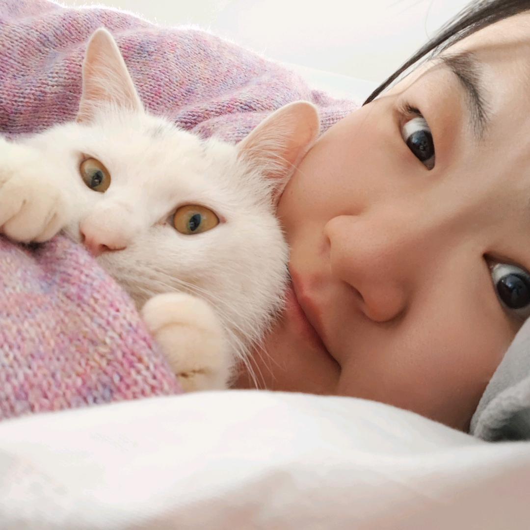 红鲤鱼与绿鲤鱼与吕