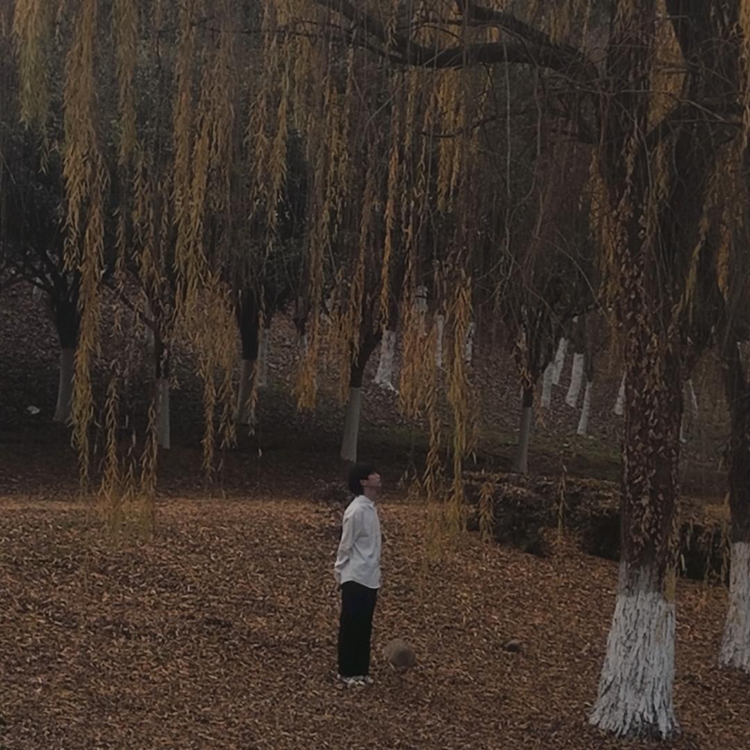 🌻🌻尽意明