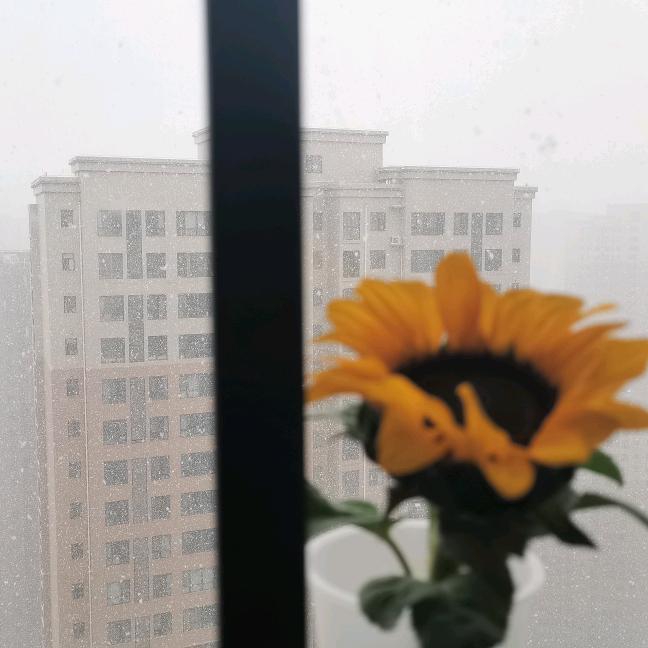 今天也要学习～冲冲冲！