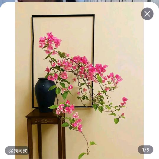 碎碎念