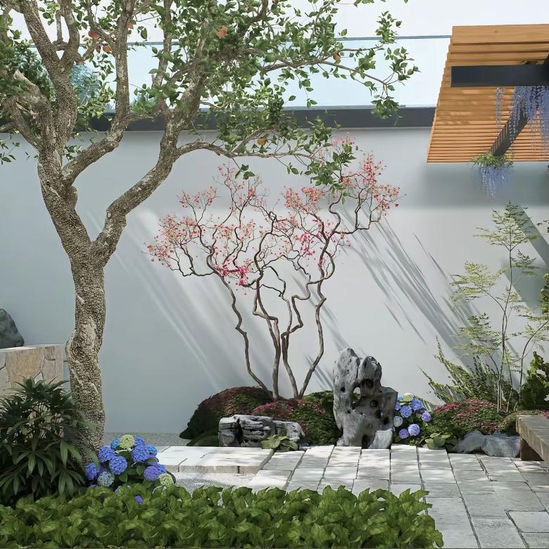 南京溧水千亩榉树园林蔡德君