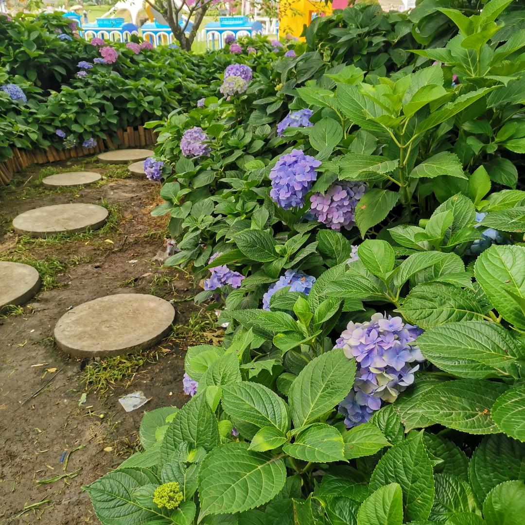 乐依然（富顺美丽E栈）