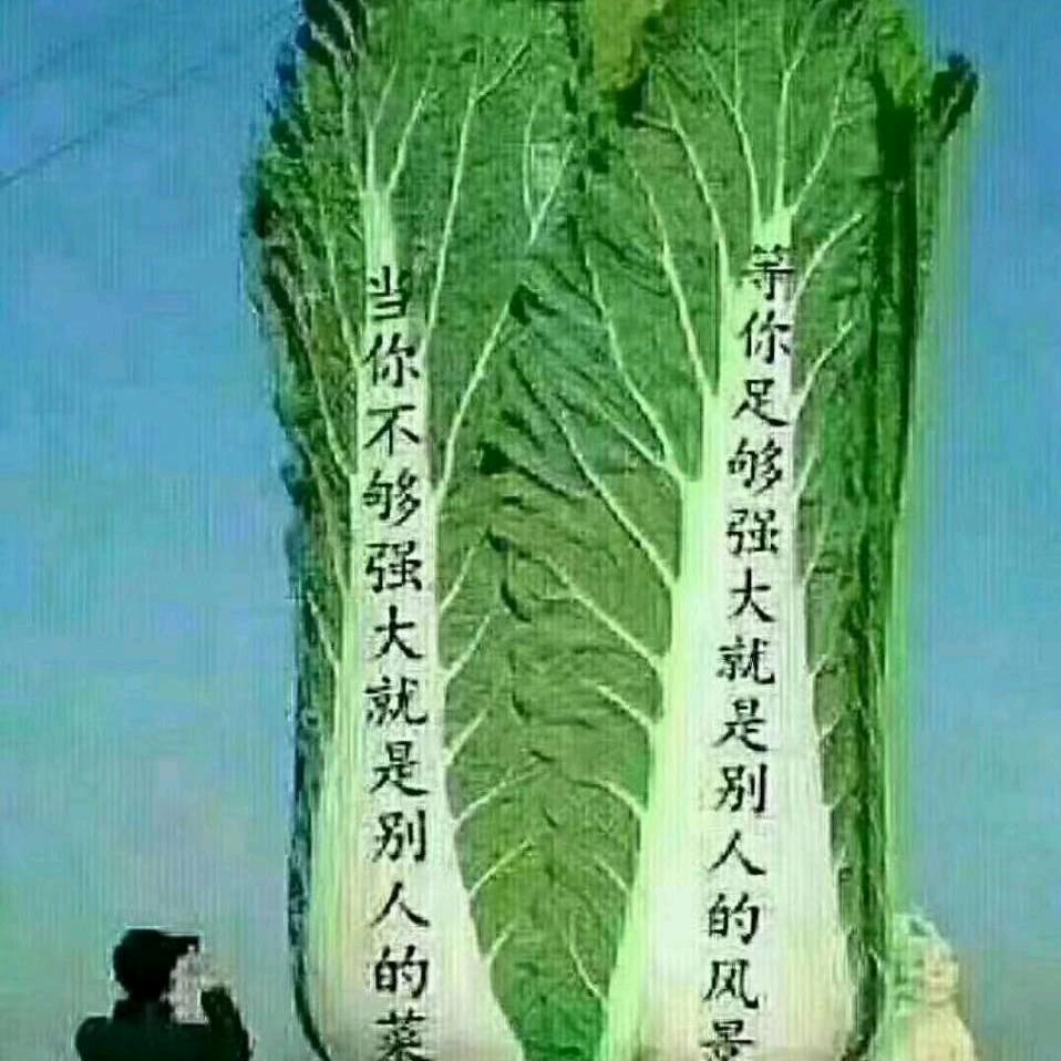 鸿鑫润再生资源有限公司