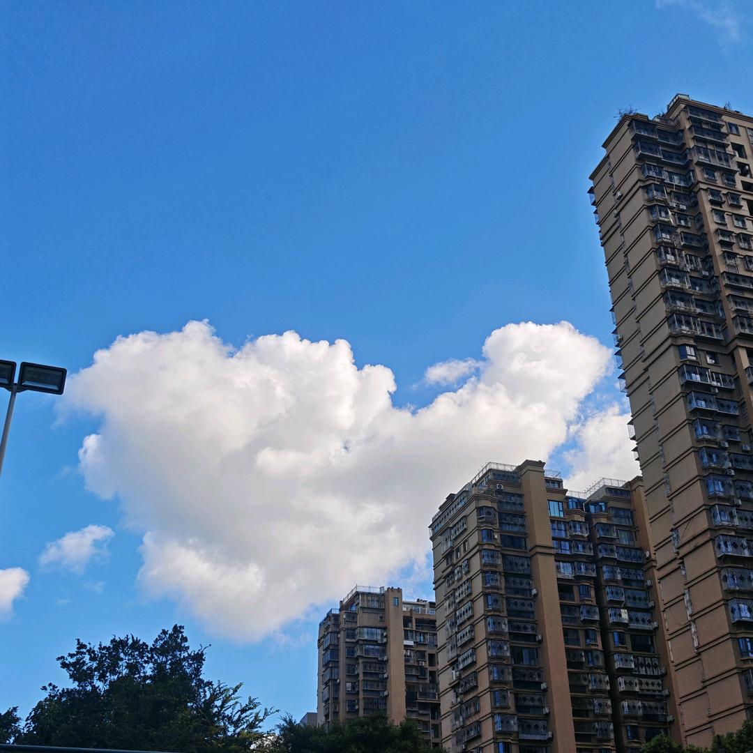 三角洲做任务和跑刀