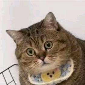 小黑