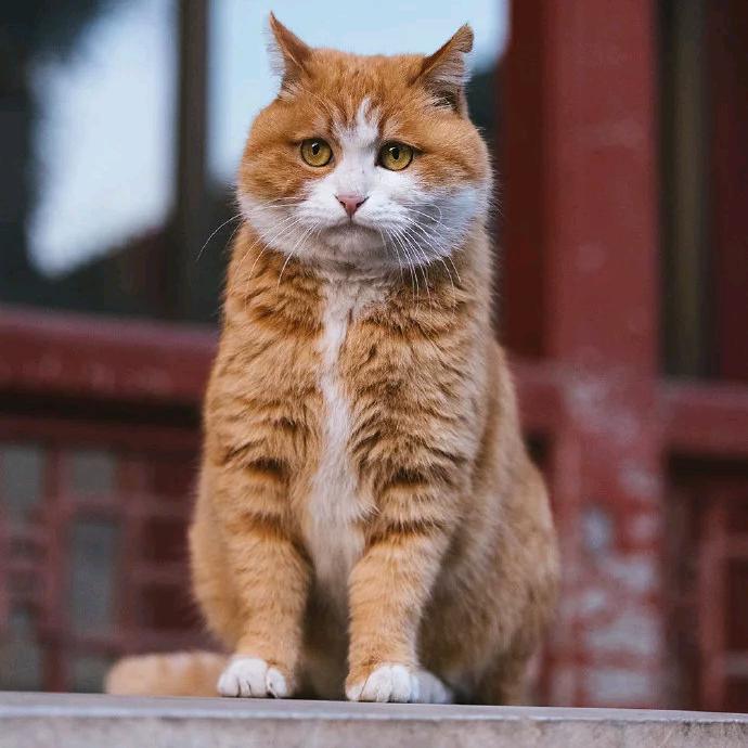 我真没时间和你闹了