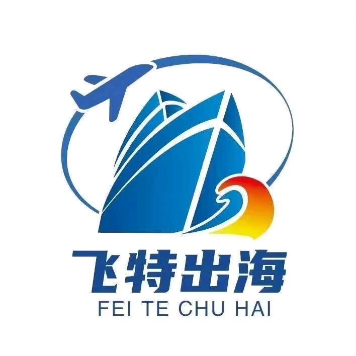飞特出海运营