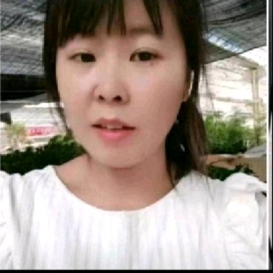 老五绿植(在黄楼批发，主营网红的造型的)