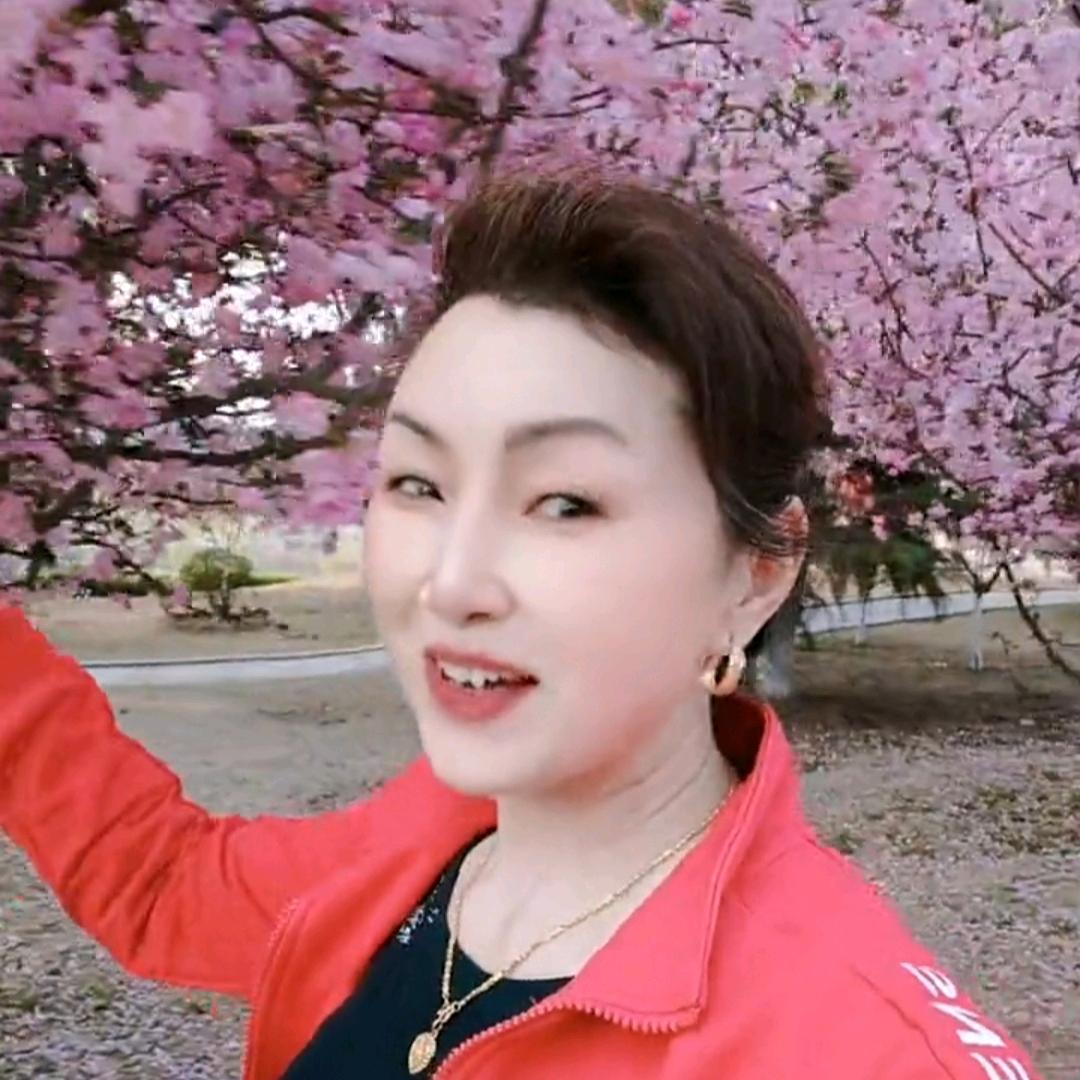 冰山雪莲