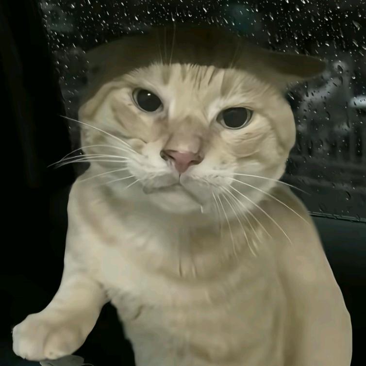 蛇蛇大王。