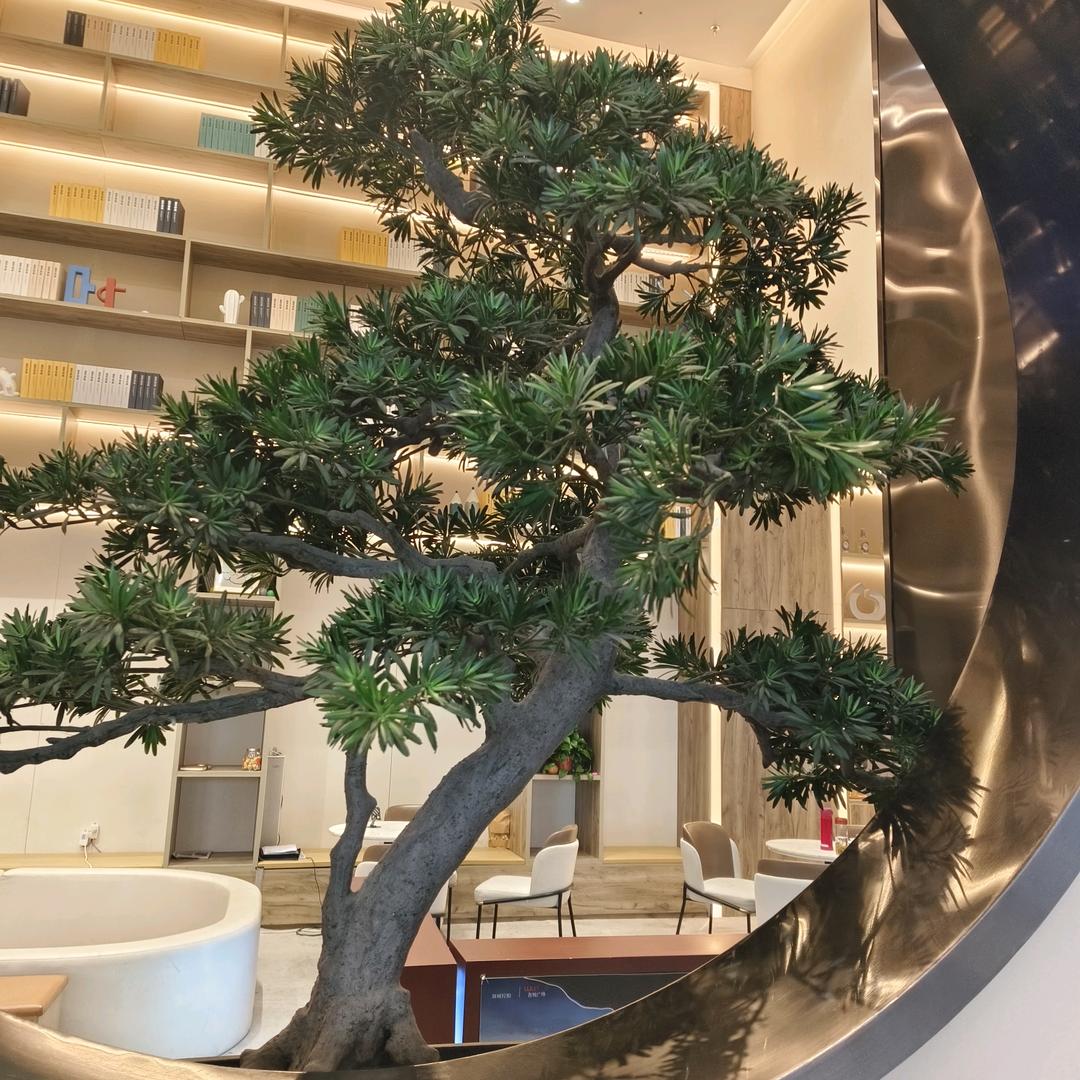 小树苗